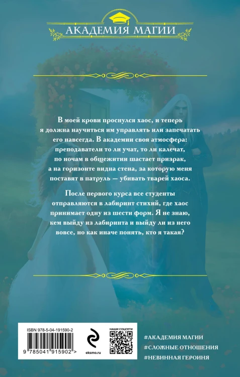 Академия хаоса. Лабиринт стихий