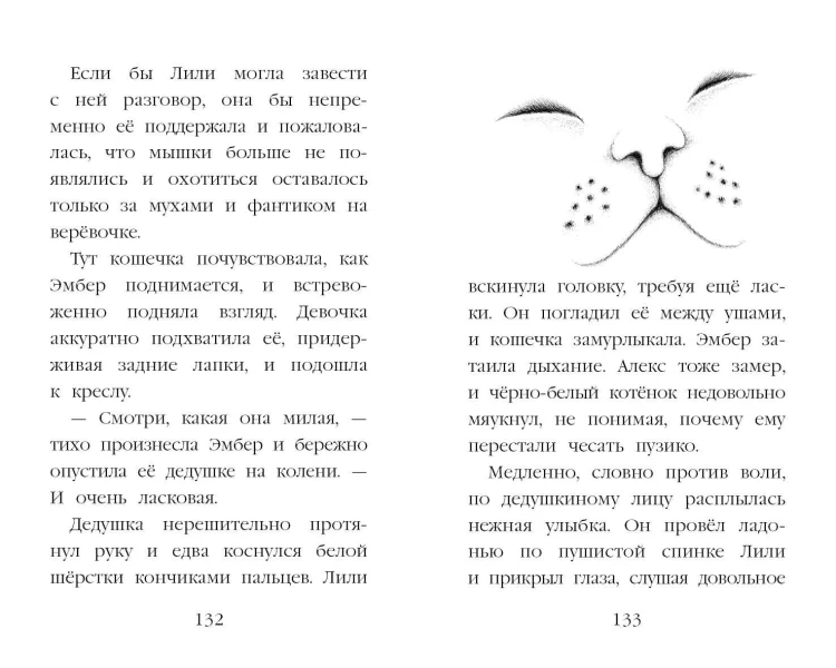Тайна третьего котёнка