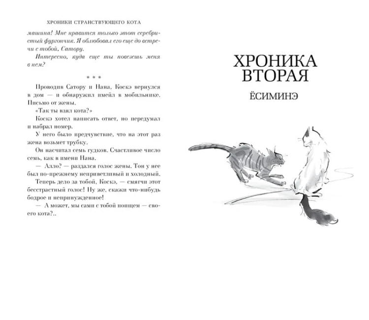 Хроники странствующего кота