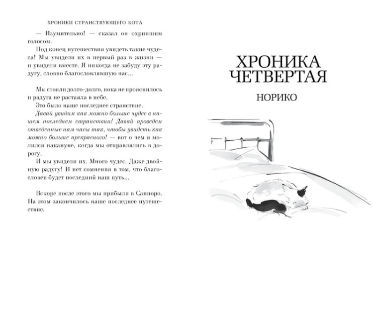Хроники странствующего кота
