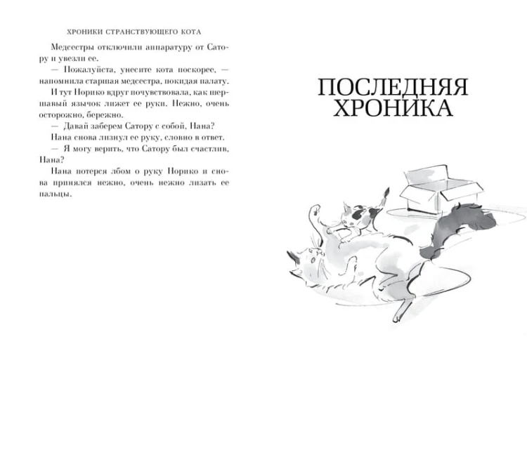 Хроники странствующего кота