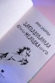 Заколдованная Мелодия