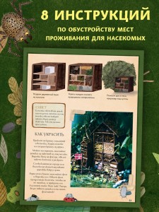 Город насекомых
