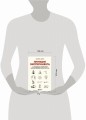 Принцип эксперимента. 12 главных открытий физики элементарных частиц