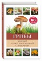 Грибы. Краткий иллюстрированный справочник