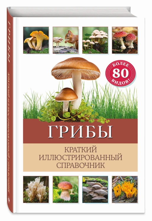 Грибы. Краткий иллюстрированный справочник