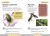 Насекомые. Краткий иллюстрированный справочник
