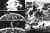 003.webp
