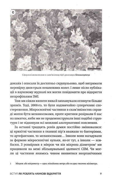 3.webp