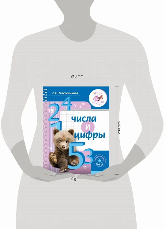 Числа и цифры