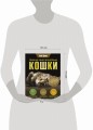 Главная книга владельца кошки