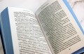 Комплект из 4-х книг. Железные фейри. (ИК)