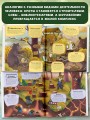Лесные истории