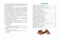 Путешествие Голубой Стрелы (ил. Х. Санча)