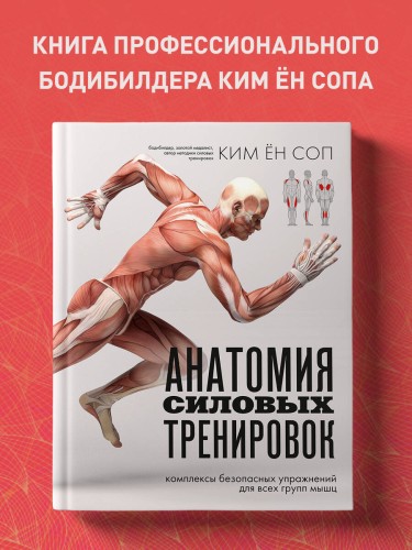 Анатомия силовых тренировок