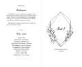 Комплект из 5-и книг Эммы Скотт в новом оформлении. (ИК)