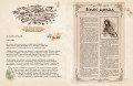 Сад фей. Книга 1. Хранительница