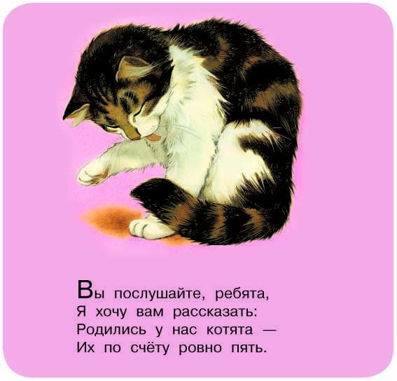 Котята