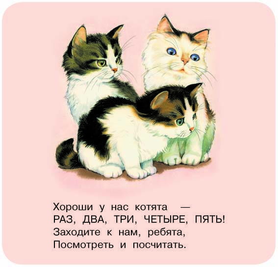 Котята