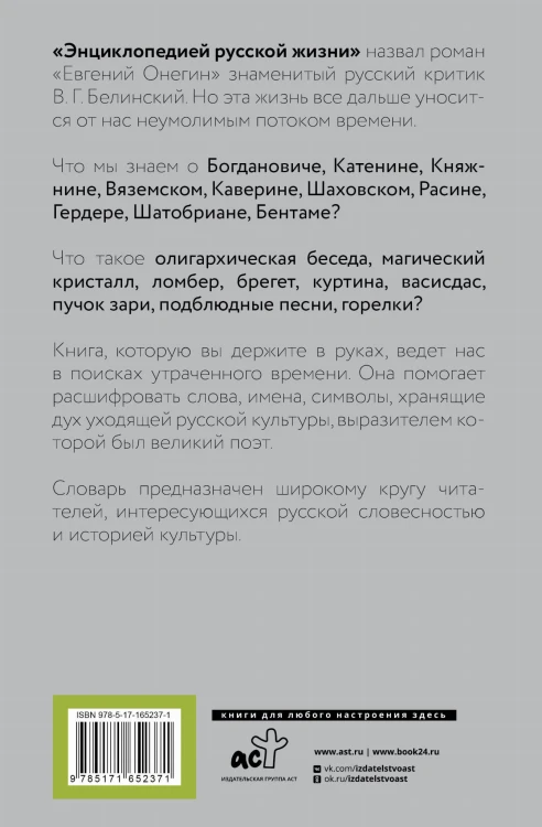 Евгений Онегин. Читаем со словарем. Комментарии к роману