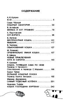 Большая кошачья книга