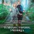 Темная сторона. Ученица