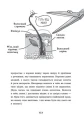 004.webp