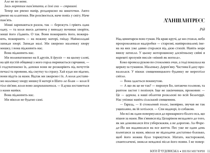 005.webp