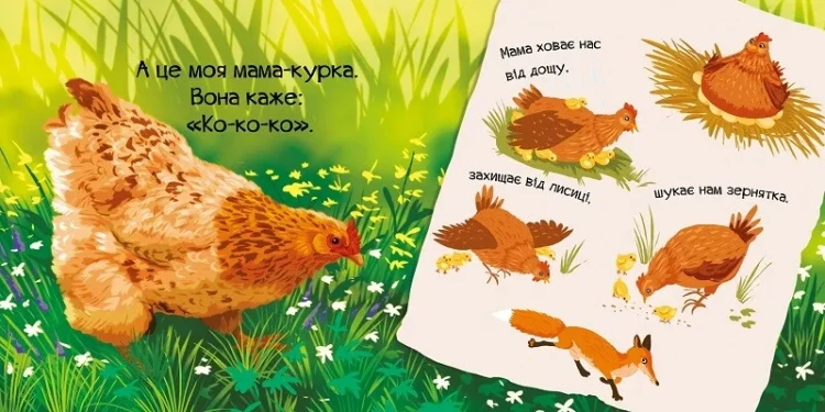 Знайомся, я курча3.webp