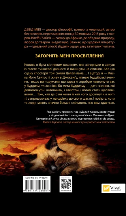 Кішка Далай-лами2.webp