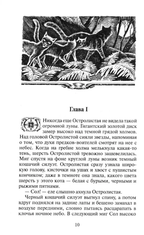 Коты-воители. Длинные тени 2.webp