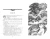 003.webp