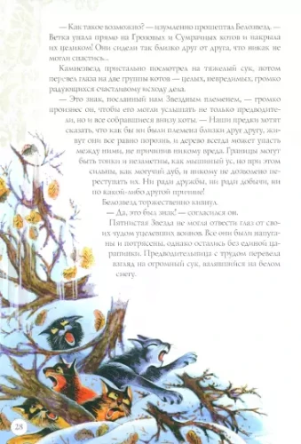 002.webp