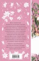 Набор Гадания (Книга + карты: Гордость и предубеждение; В поисках мистера Дарси. 55 метафорических карт)