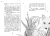 004.webp