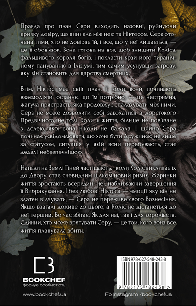 002.webp