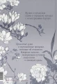 002.webp