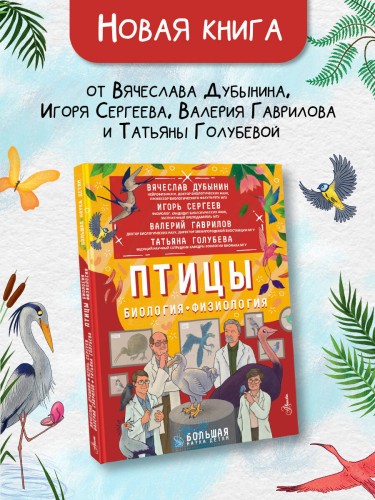 Птицы. Биология. Физиология