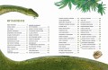 Динозавры. Самая современная энциклопедия о древних ящерах
