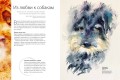 Животные акварелью от Джин Хэйнс. Медитативное рисование для контакта с собой и природой