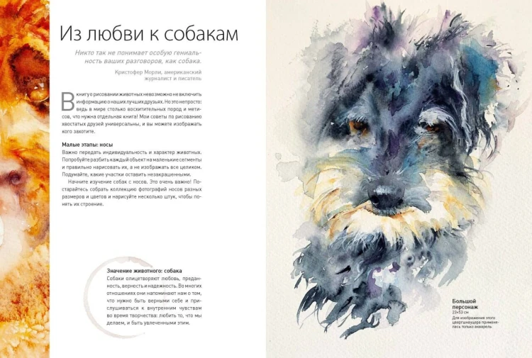 Животные акварелью от Джин Хэйнс. Медитативное рисование для контакта с собой и природой