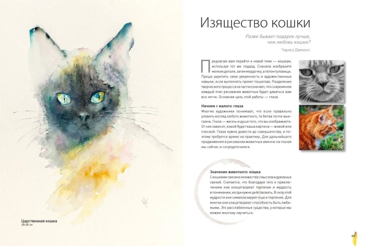 Животные акварелью от Джин Хэйнс. Медитативное рисование для контакта с собой и природой