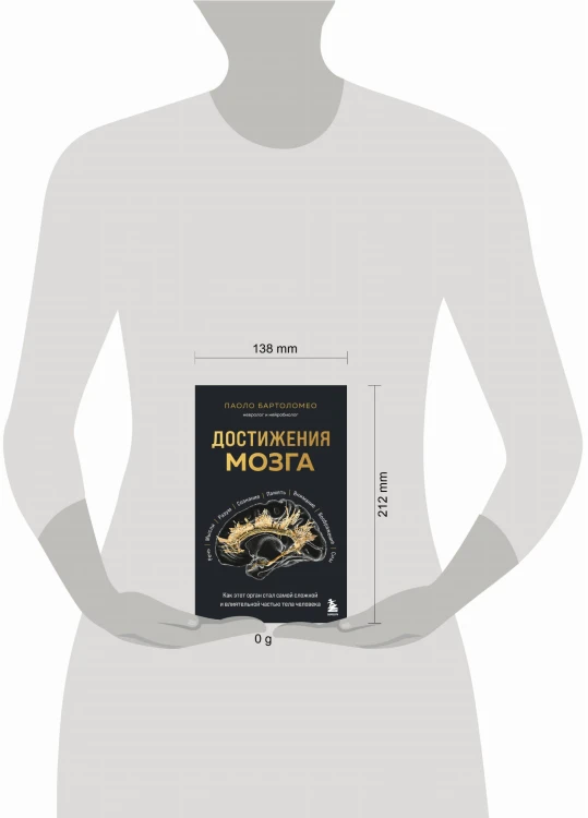 Достижения мозга. Как этот орган стал самой сложной и влиятельной частью тела человека