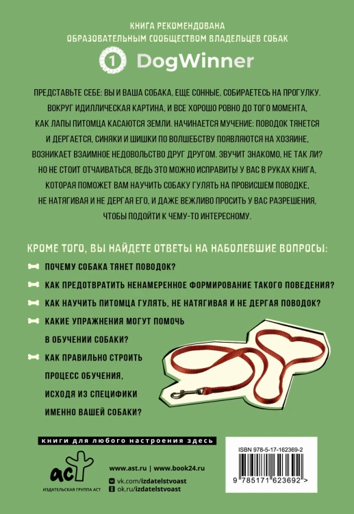 Не тяни! Как научить собаку гулять на провисшем поводке