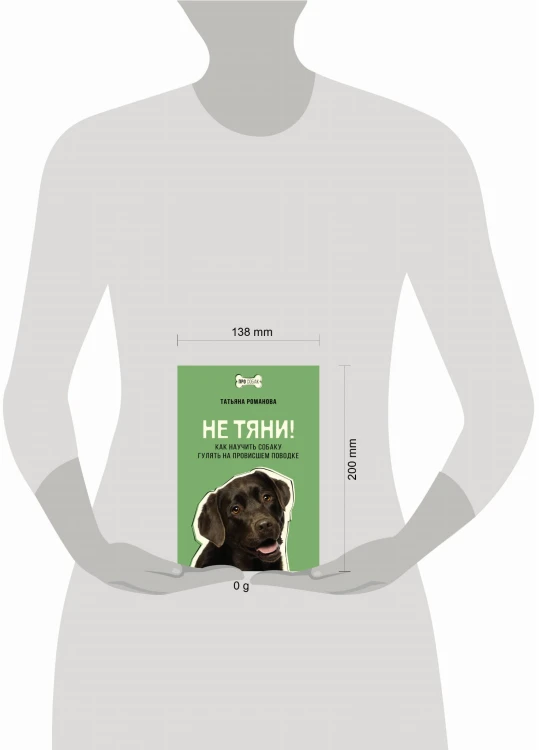 Не тяни! Как научить собаку гулять на провисшем поводке
