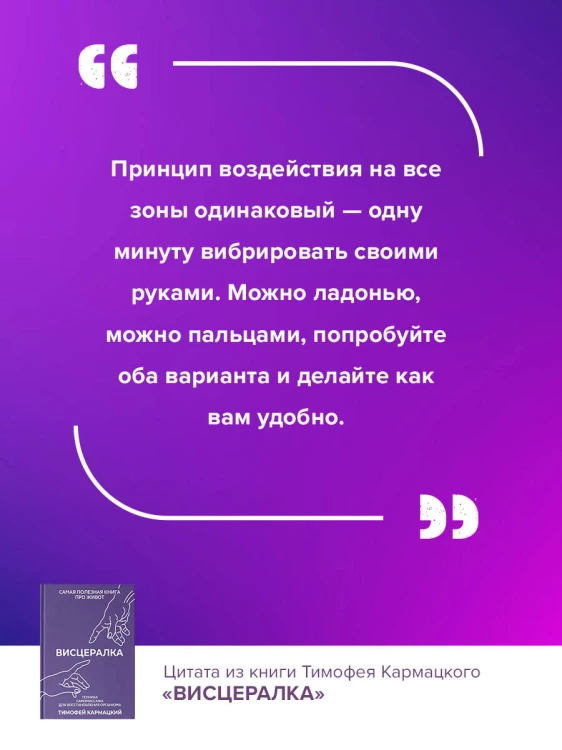 Висцералка. Техника самомассажа для восстановления организма. Самая полезная книга про живот
