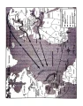 003.webp