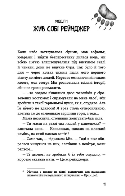 6.webp