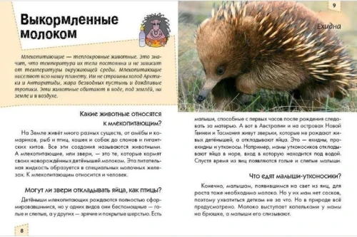 002.webp