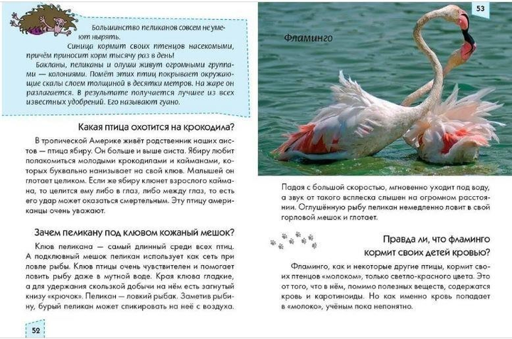 004.webp